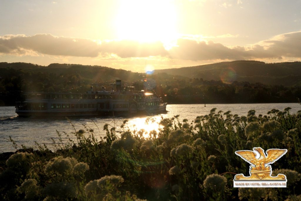 Sonniger Blick im Grünen auf den Rhein mit Schiff