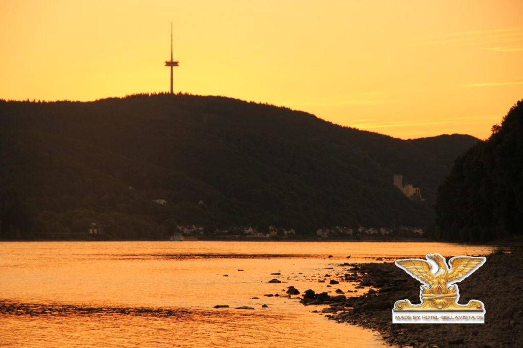 Rhein mit steinigem Strand und Blick auf den Fernsehturm